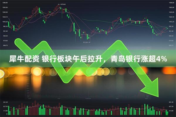 犀牛配资 银行板块午后拉升，青岛银行涨超4%