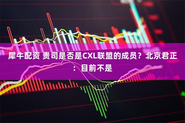 犀牛配资 贵司是否是CXL联盟的成员？北京君正：目前不是