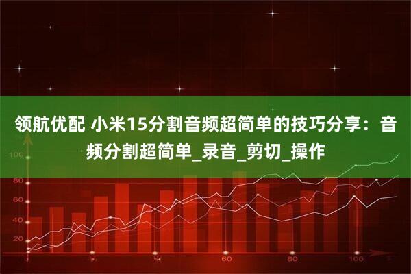 领航优配 小米15分割音频超简单的技巧分享：音频分割超简单_录音_剪切_操作