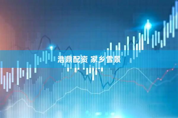 浩鼎配资 家乡雪景